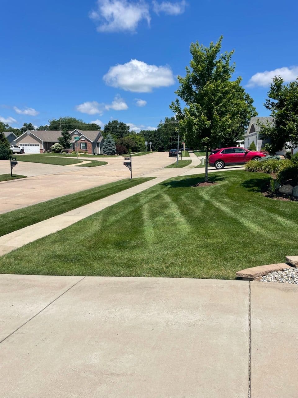 Transform Your Lawn with Expert Mowing Services