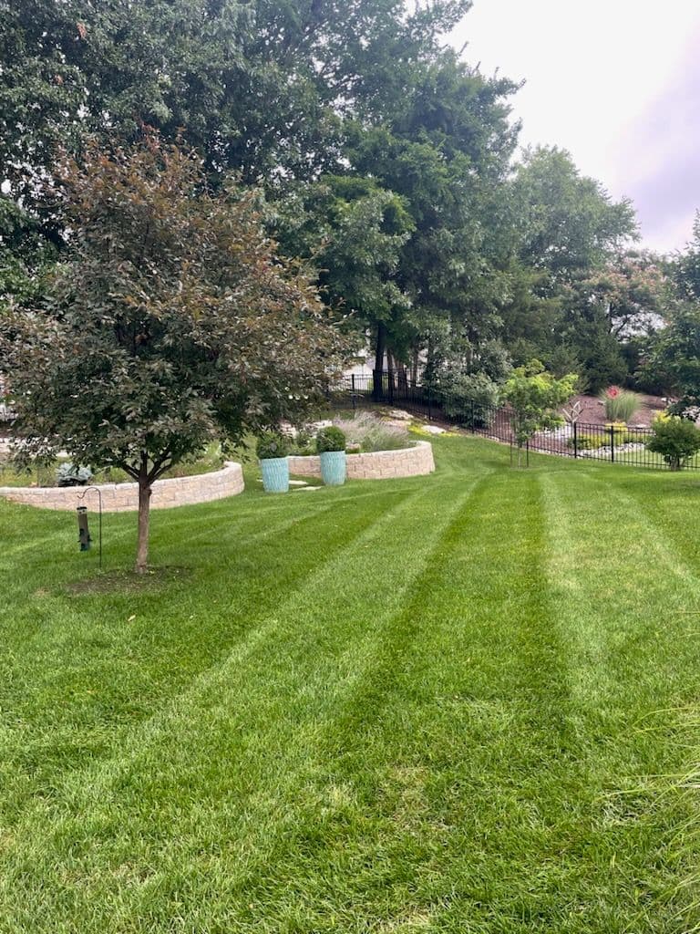 Enhance Your Landscape With Impeccable Lawn Care image